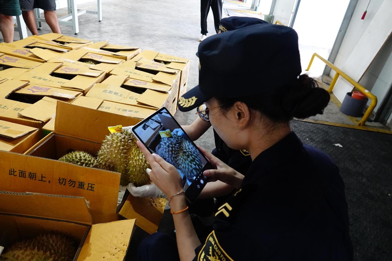 通关提速红利释放 澜湄水道水果贸易增长