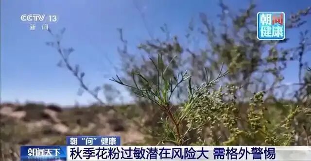 北方秋季花粉期持续！监测+预报+抑花：为秋季过敏开“良方”