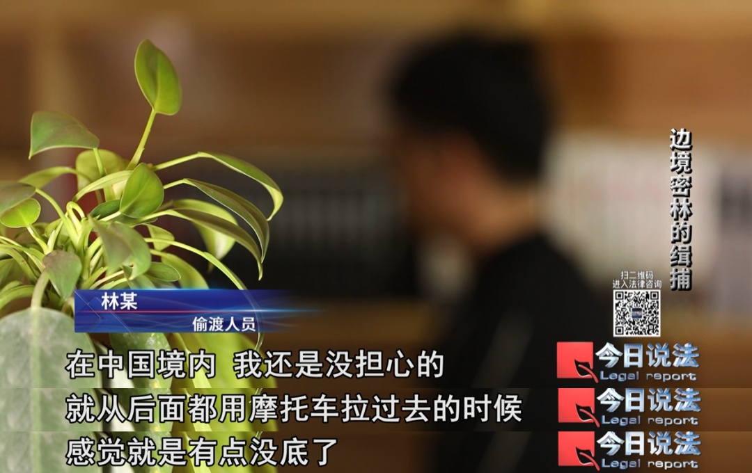 三人想到境外赚高薪，进入密林企图偷渡出境……