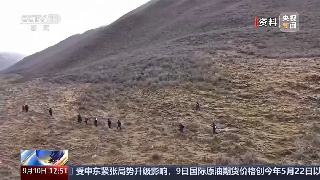 轻信网红徒步攻略轻松到“孩子都能走”，女子午后独自进山后迷路遇险，15人救援队7小时连夜营救脱险；各地已发生多起