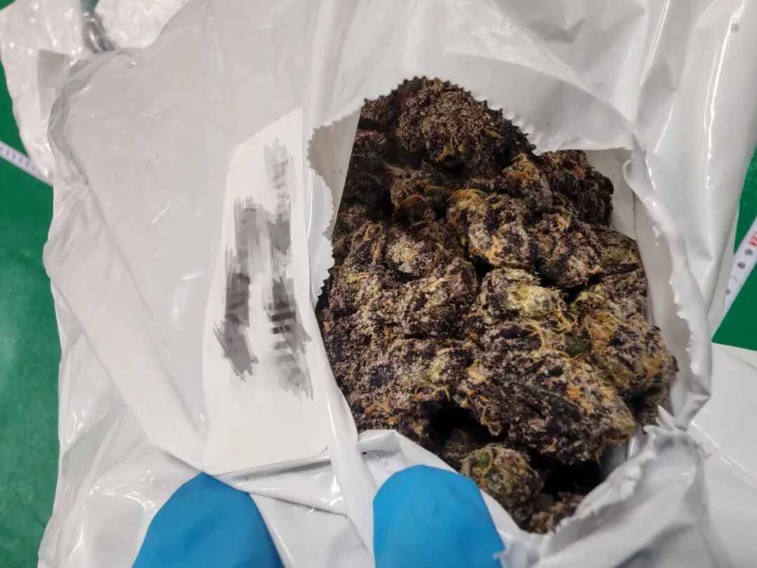 “儿童保龄球”气味刺鼻?打开后竟藏了8包大麻 “儿童保龄球”气味刺鼻?打开后竟藏了8包大麻