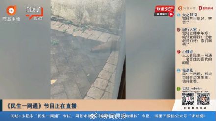 上海3只黄鼠狼闯民宅!不怕人,还叼入死老鼠、死鸟…… 上海3只黄鼠狼闯民宅!不怕人,还叼入死老鼠、死鸟……