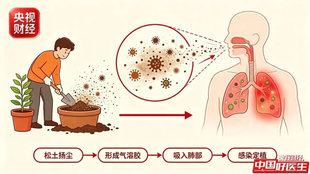 养花的人注意!家里这盆土,可能藏着“伤肺菌” 养花的人注意!家里这盆土,可能藏着“伤肺菌”