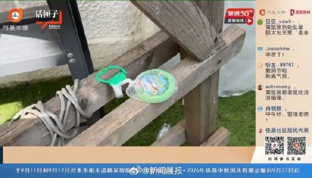 上海3只黄鼠狼闯民宅!不怕人,还叼入死老鼠、死鸟…… 上海3只黄鼠狼闯民宅!不怕人,还叼入死老鼠、死鸟……