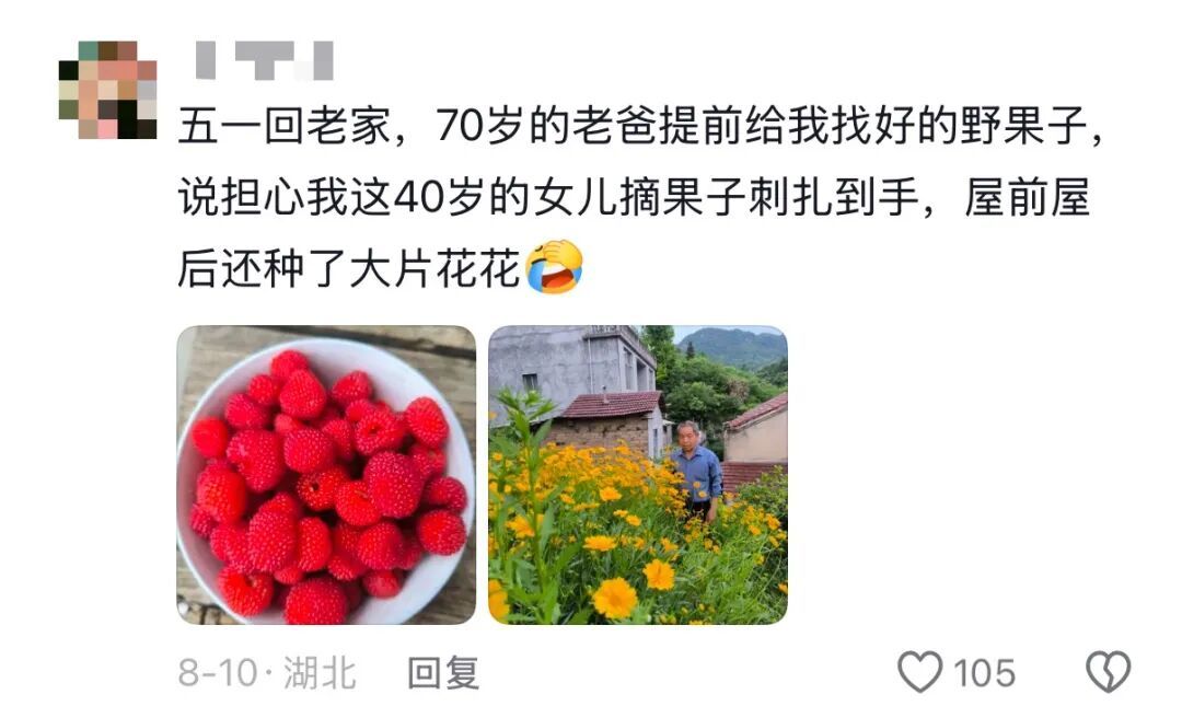 我说这筐菜拍照很好看,老爸就去摘了几朵花来搭配……网友评论区刷屏,晒出自己父母 我说这筐菜拍照很好看,老爸就去摘了几朵花来搭配……网友评论区刷屏,晒出自己父母