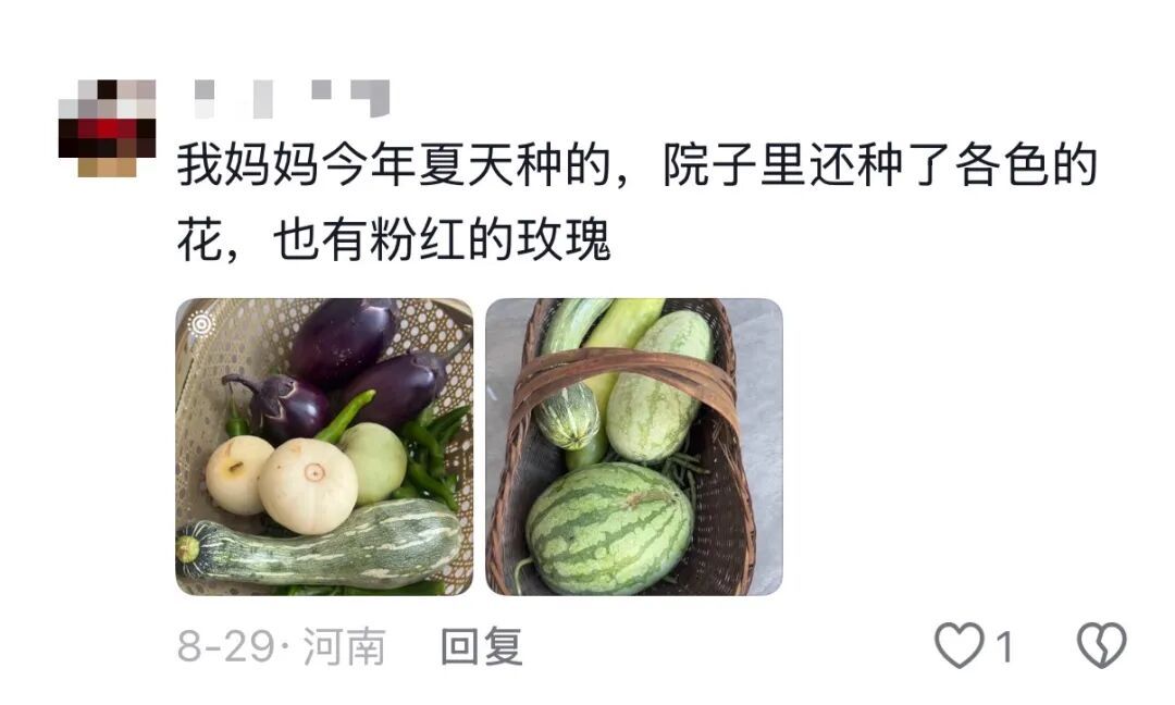 我说这筐菜拍照很好看,老爸就去摘了几朵花来搭配……网友评论区刷屏,晒出自己父母 我说这筐菜拍照很好看,老爸就去摘了几朵花来搭配……网友评论区刷屏,晒出自己父母
