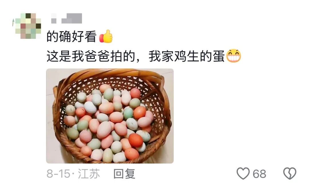 我说这筐菜拍照很好看,老爸就去摘了几朵花来搭配……网友评论区刷屏,晒出自己父母 我说这筐菜拍照很好看,老爸就去摘了几朵花来搭配……网友评论区刷屏,晒出自己父母