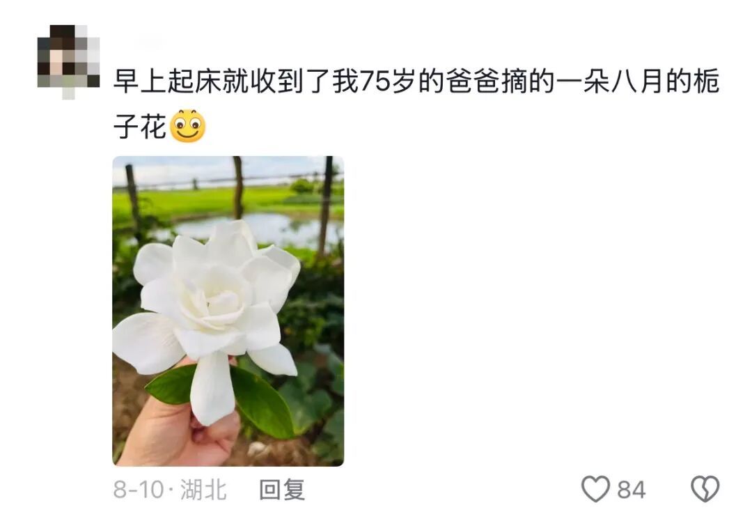 我说这筐菜拍照很好看,老爸就去摘了几朵花来搭配……网友评论区刷屏,晒出自己父母 我说这筐菜拍照很好看,老爸就去摘了几朵花来搭配……网友评论区刷屏,晒出自己父母