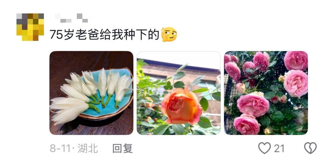 我说这筐菜拍照很好看,老爸就去摘了几朵花来搭配……网友评论区刷屏,晒出自己父母 我说这筐菜拍照很好看,老爸就去摘了几朵花来搭配……网友评论区刷屏,晒出自己父母
