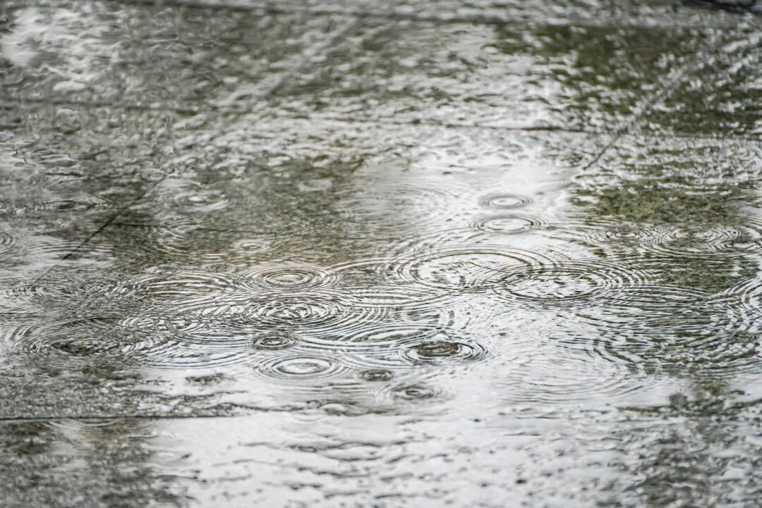 广州有大雨暴雨，7级大风！