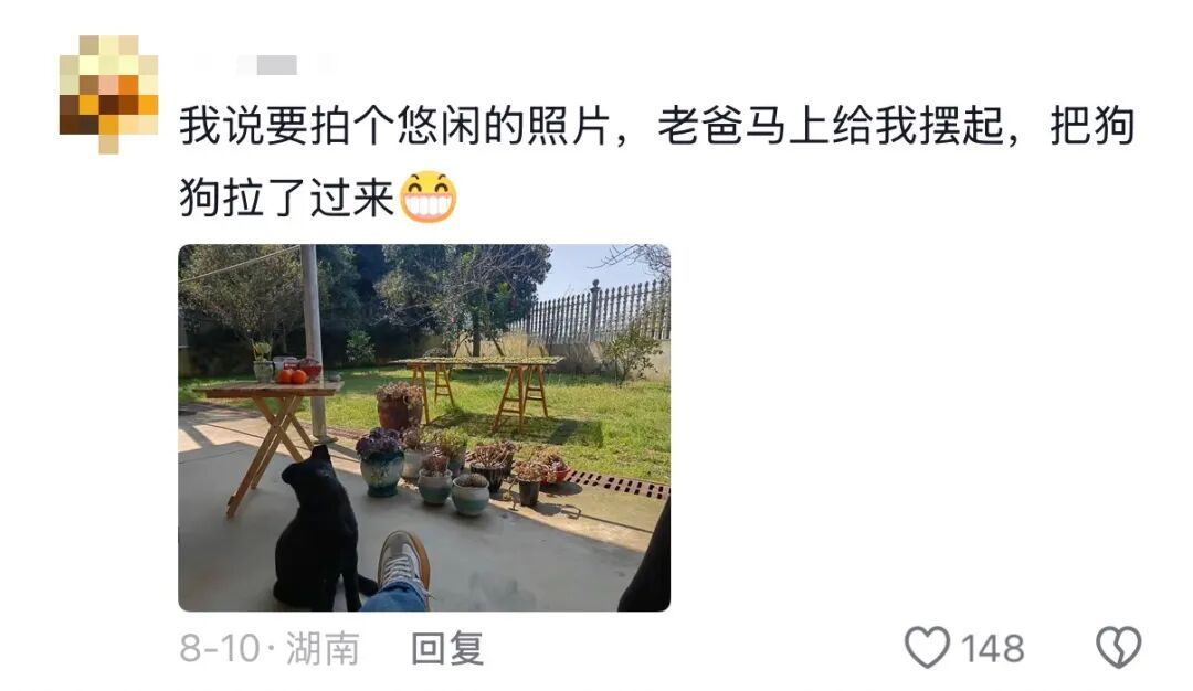我说这筐菜拍照很好看,老爸就去摘了几朵花来搭配……网友评论区刷屏,晒出自己父母 我说这筐菜拍照很好看,老爸就去摘了几朵花来搭配……网友评论区刷屏,晒出自己父母