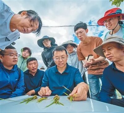 有农民抓起一把化肥，伸舌头舔了舔：“这肥，真不真？”农业教授愣住了……