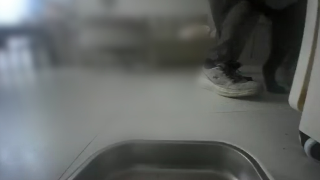 狗：您有一份新的犯罪证据请查收