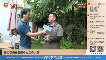 上海3只黄鼠狼闯民宅!不怕人,还叼入死老鼠、死鸟…… 上海3只黄鼠狼闯民宅!不怕人,还叼入死老鼠、死鸟……