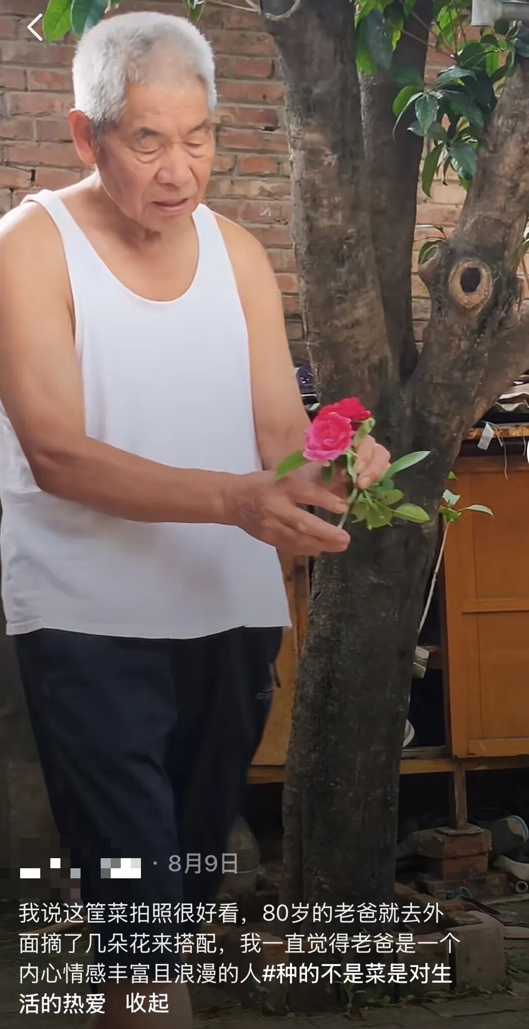我说这筐菜拍照很好看,老爸就去摘了几朵花来搭配……网友评论区刷屏,晒出自己父母 我说这筐菜拍照很好看,老爸就去摘了几朵花来搭配……网友评论区刷屏,晒出自己父母