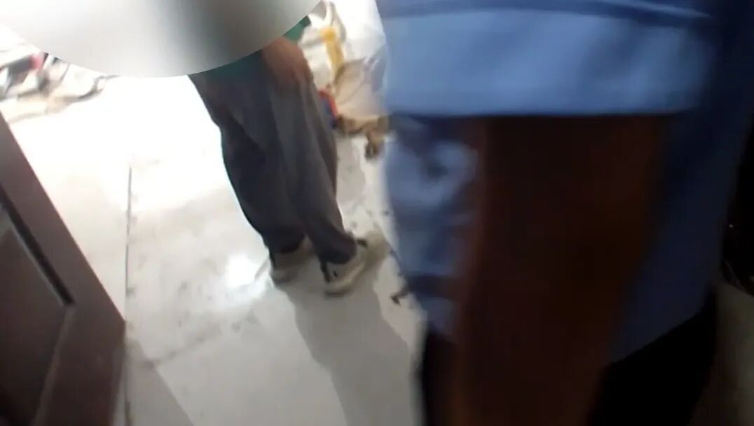 狗：您有一份新的犯罪证据请查收