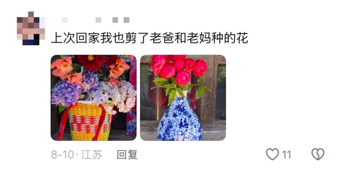 我说这筐菜拍照很好看,老爸就去摘了几朵花来搭配……网友评论区刷屏,晒出自己父母 我说这筐菜拍照很好看,老爸就去摘了几朵花来搭配……网友评论区刷屏,晒出自己父母