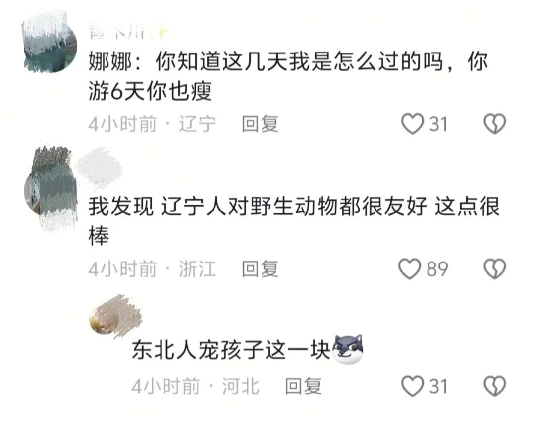 娜娜回来了,但接下来怎么办? 娜娜回来了,但接下来怎么办?