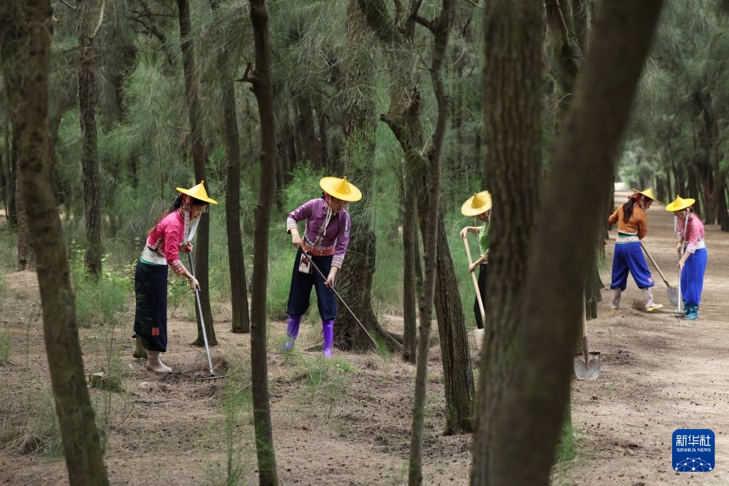 万里边疆行丨从“黄沙堵家门”到“绿浪锁风口”：小岞林场跨越六十载的巾帼坚守
