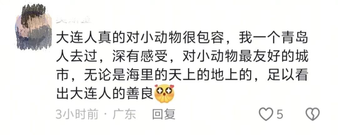 娜娜回来了,但接下来怎么办? 娜娜回来了,但接下来怎么办?