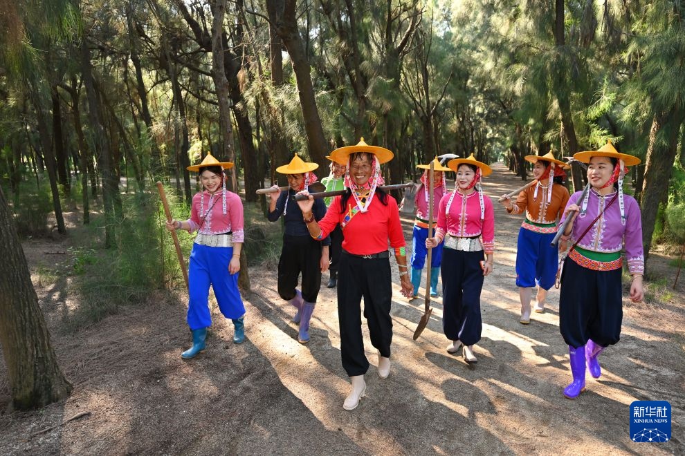 万里边疆行丨从“黄沙堵家门”到“绿浪锁风口”：小岞林场跨越六十载的巾帼坚守