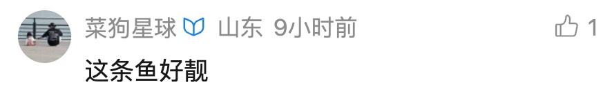 新手钓友钓到2.8斤野生大黄鱼!当晚就和朋友直接吃掉! 市场收购每斤500元以上 新手钓友钓到2.8斤野生大黄鱼!当晚就和朋友直接吃掉! 市场收购每斤500元以上