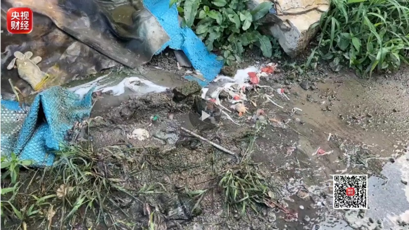 被媒体曝光后,山西省临汾市连夜开展调查 被媒体曝光后,山西省临汾市连夜开展调查