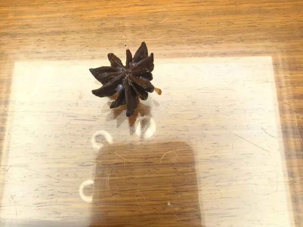 女子超市买来八角香料炖肉，却数出13个角，AI识别有剧毒！