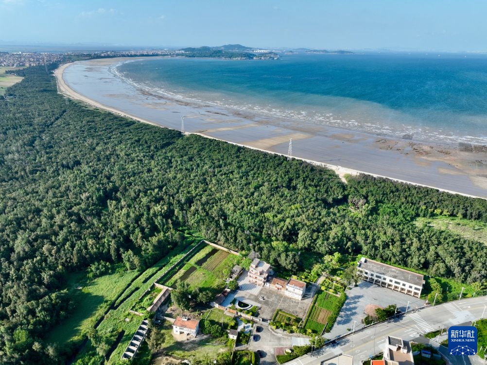万里边疆行丨从“黄沙堵家门”到“绿浪锁风口”：小岞林场跨越六十载的巾帼坚守