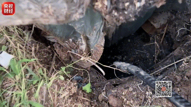 央视曝光农村治污乱象:近200万建成污水处理站,村民一天没用还收费 央视曝光农村治污乱象:近200万建成污水处理站,村民一天没用还收费