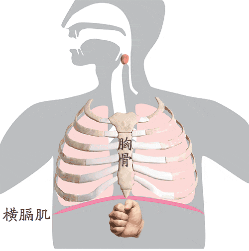 学习海姆立克急救法，记住“剪刀石头布”！