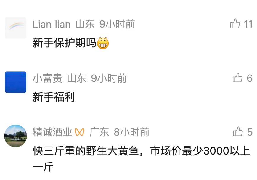 新手钓友钓到2.8斤野生大黄鱼!当晚就和朋友直接吃掉! 市场收购每斤500元以上 新手钓友钓到2.8斤野生大黄鱼!当晚就和朋友直接吃掉! 市场收购每斤500元以上