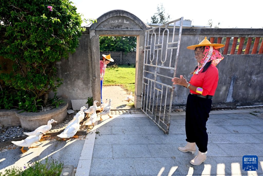 万里边疆行丨从“黄沙堵家门”到“绿浪锁风口”：小岞林场跨越六十载的巾帼坚守