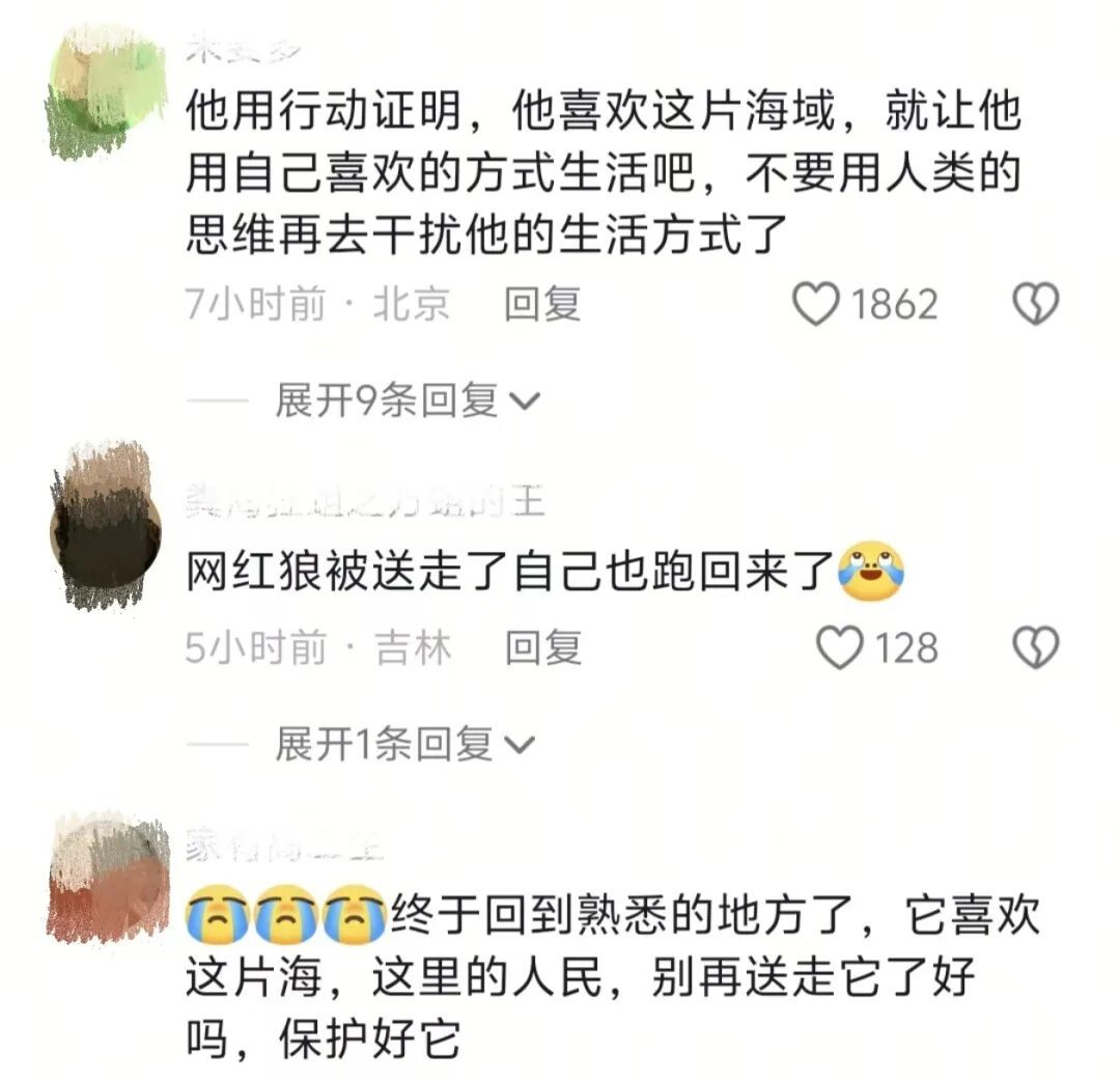 娜娜回来了,但接下来怎么办? 娜娜回来了,但接下来怎么办?