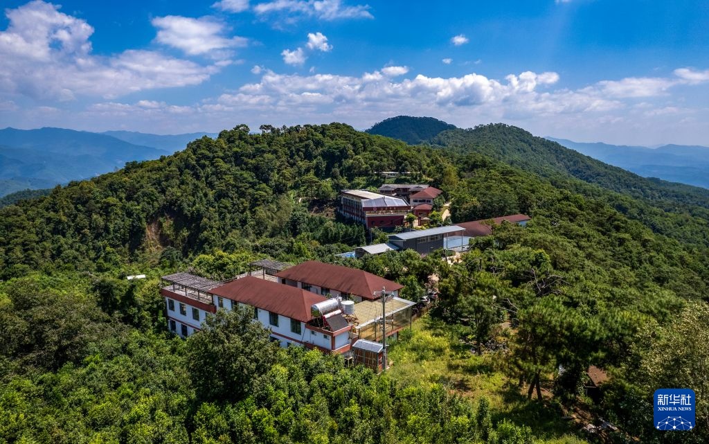 云南临沧:咖啡庄园解锁“咖旅融合”新体验 云南临沧:咖啡庄园解锁“咖旅融合”新体验