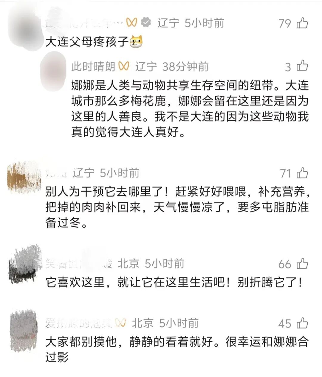娜娜回来了,但接下来怎么办? 娜娜回来了,但接下来怎么办?