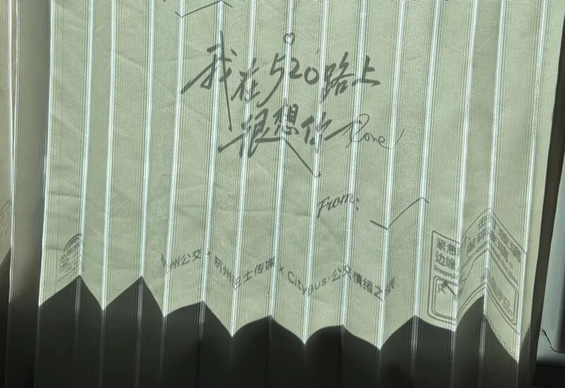 一边“顶流”,一边“凉凉”,公交车驶向何方? 一边“顶流”,一边“凉凉”,公交车驶向何方?