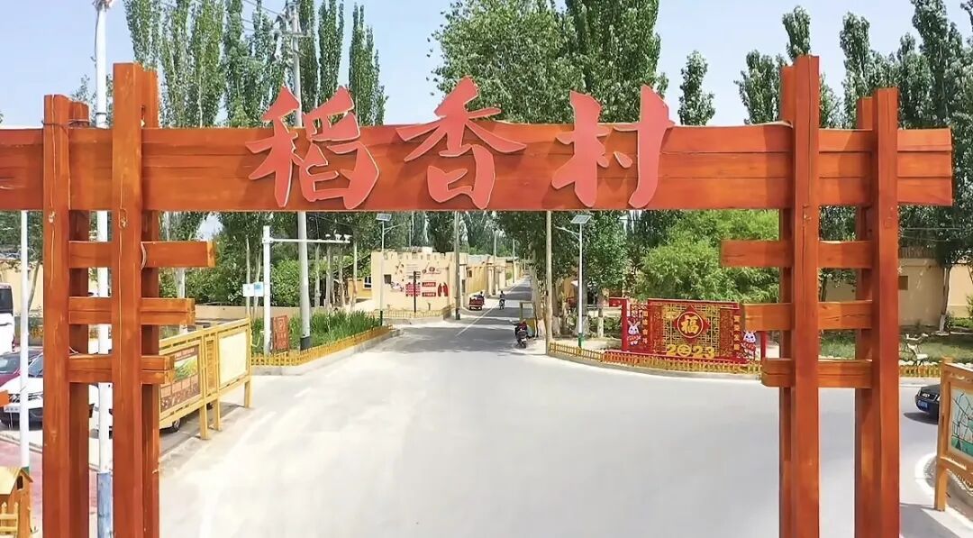 什么?在新疆和田沙漠种水稻! 什么?在新疆和田沙漠种水稻!