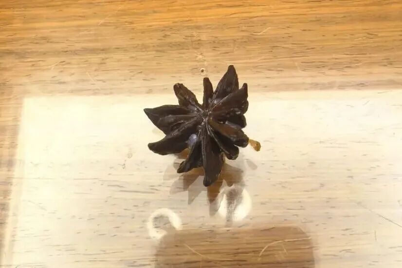 买的“八角”数出13个角,一查竟有毒!特别提醒 买的“八角”数出13个角,一查竟有毒!特别提醒