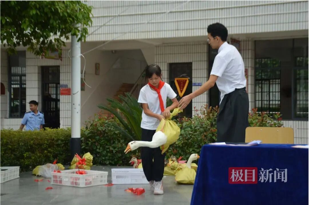 湖南一小学开学典礼奖活鸭活鹅及猪肉，校长：孩子们抱着活物更有成就感，已坚持三年
