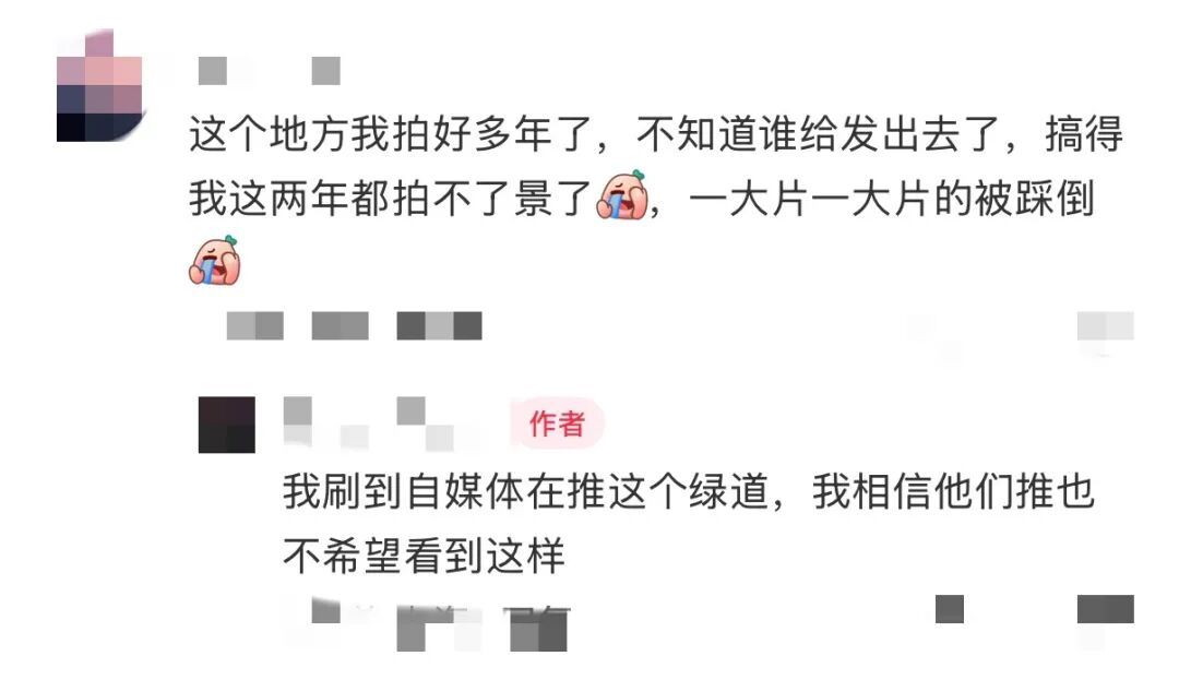 “大片大片被踩倒…”上海网红花海刷屏，网友却直呼痛心…紧急提醒：全株有毒，别碰！