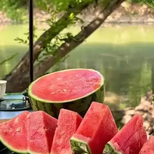 这几种水果堪称“湿气之王”!伤脾胃又伤阳气,小心越吃湿越重 这几种水果堪称“湿气之王”!伤脾胃又伤阳气,小心越吃湿越重