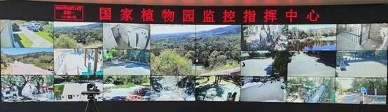 北京一市民发现国家植物园里有疑似盗洞?现场核查后,“洞穴主人”原来是—— 北京一市民发现国家植物园里有疑似盗洞?现场核查后,“洞穴主人”原来是——