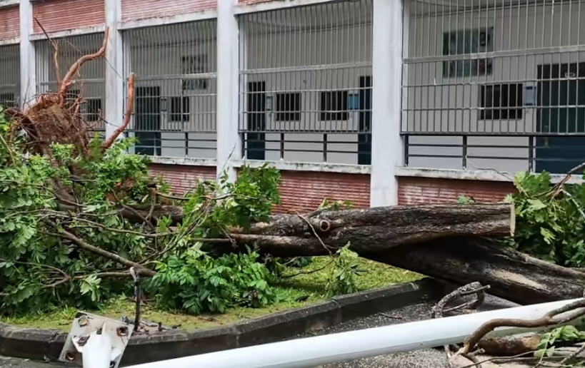 海南万宁出现龙卷风，学校内大量树木被吹断