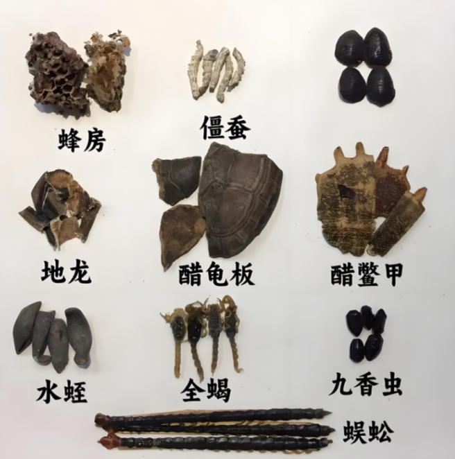 母亲用自采草药给9岁女儿治腹痛，孩子服用后中毒……医生提醒