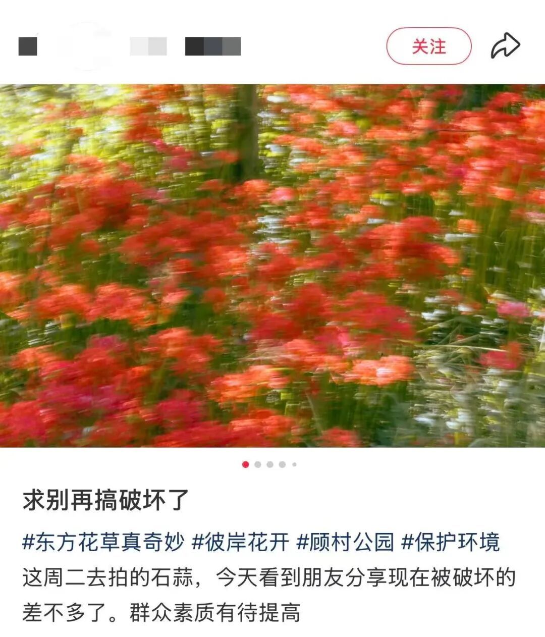“大片大片被踩倒…”上海网红花海刷屏，网友却直呼痛心…紧急提醒：全株有毒，别碰！