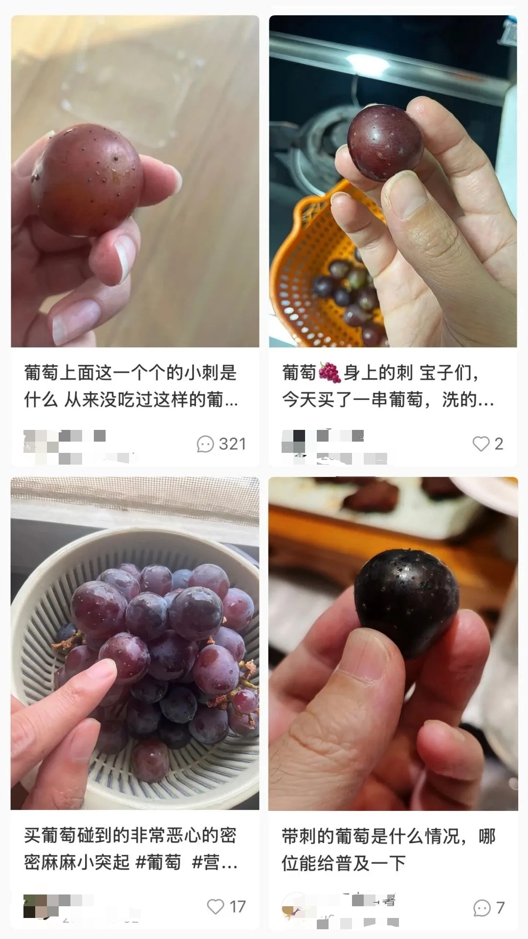 关于葡萄的消费提示