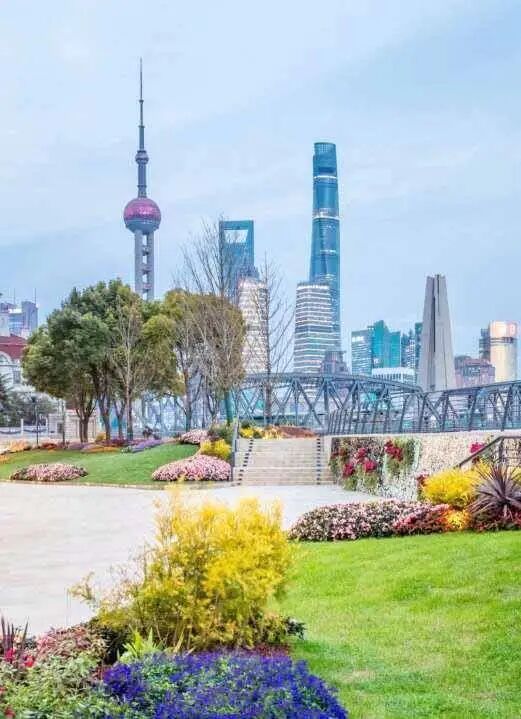 17岁摘下中国首金!这个上海少年用竹子削出“螺丝”!如何鉴赏花艺?冠军指南→ 17岁摘下中国首金!这个上海少年用竹子削出“螺丝”!如何鉴赏花艺?冠军指南→