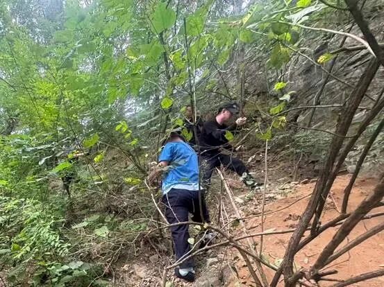 北京一市民发现国家植物园里有疑似盗洞?现场核查后,“洞穴主人”原来是—— 北京一市民发现国家植物园里有疑似盗洞?现场核查后,“洞穴主人”原来是——