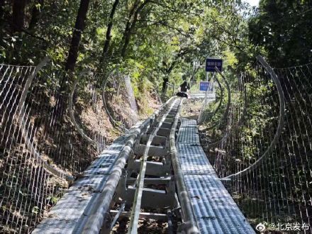 时隔两年，北京八大处索道滑道回归！1700米穿林赛道、50余个弯，还能控速